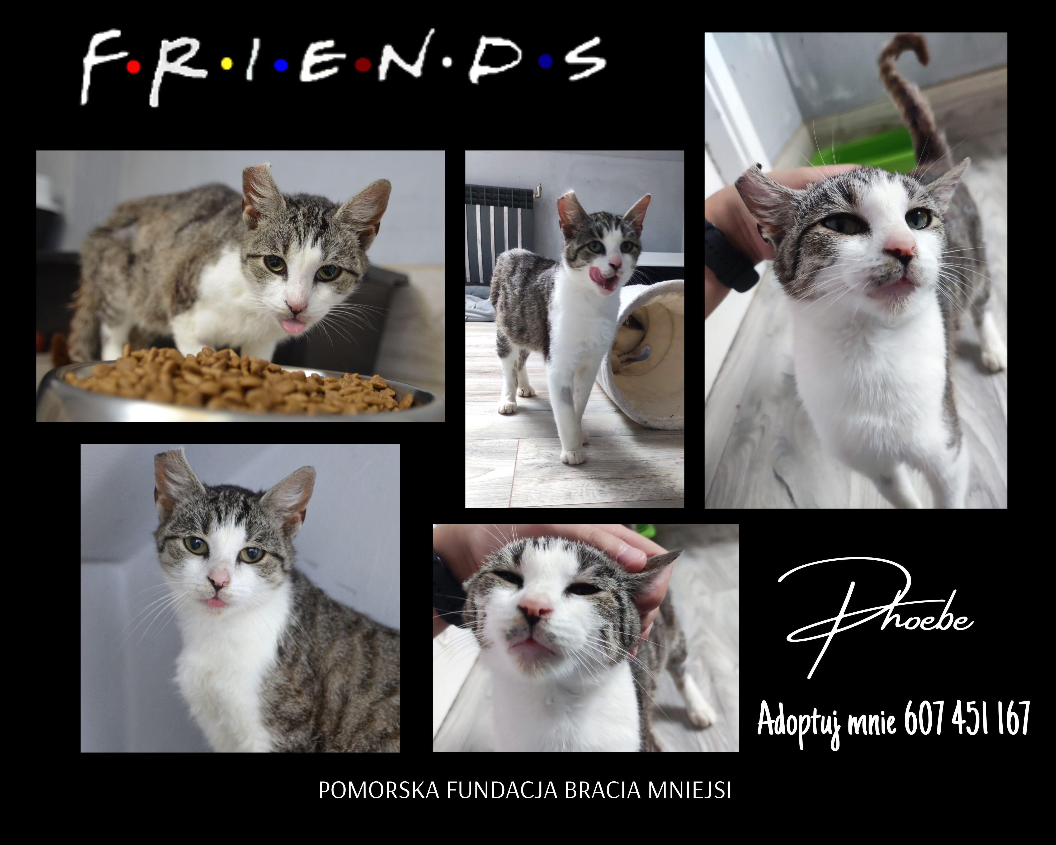 Friends
